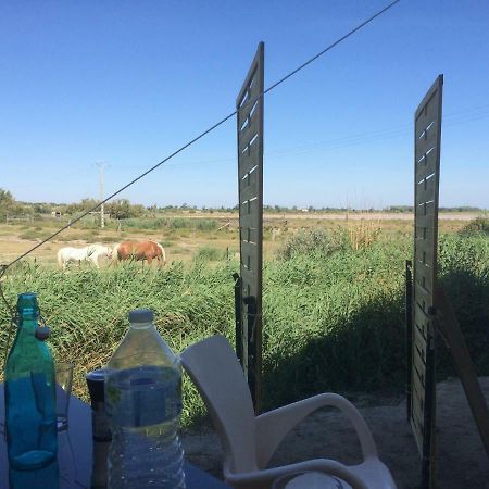 Апартаменты En Camargue Сален-де-Жиро Экстерьер фото