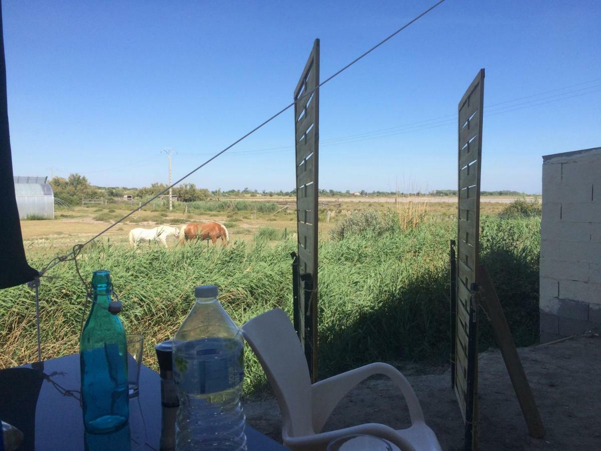 Апартаменты En Camargue Сален-де-Жиро Экстерьер фото