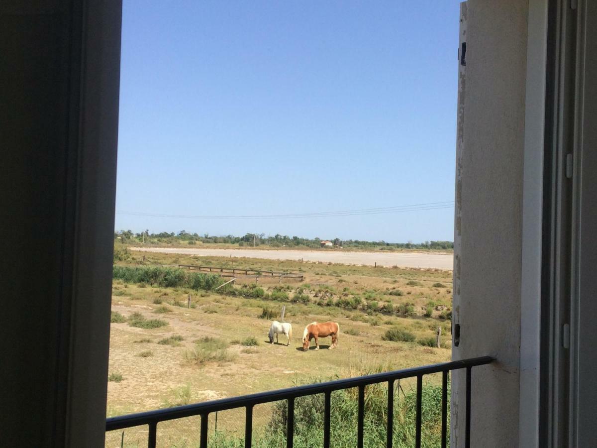 Апартаменты En Camargue Сален-де-Жиро Экстерьер фото