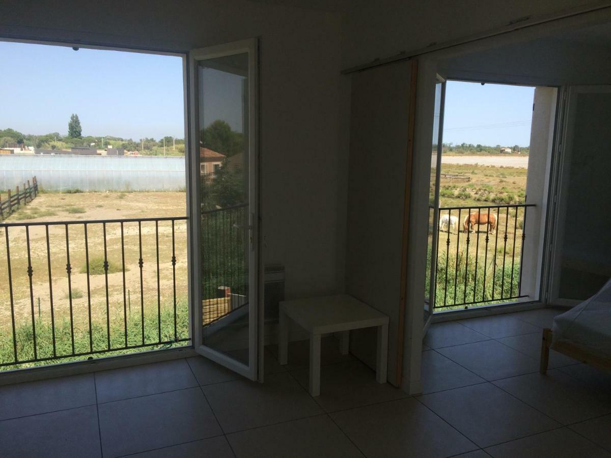 Апартаменты En Camargue Сален-де-Жиро Экстерьер фото