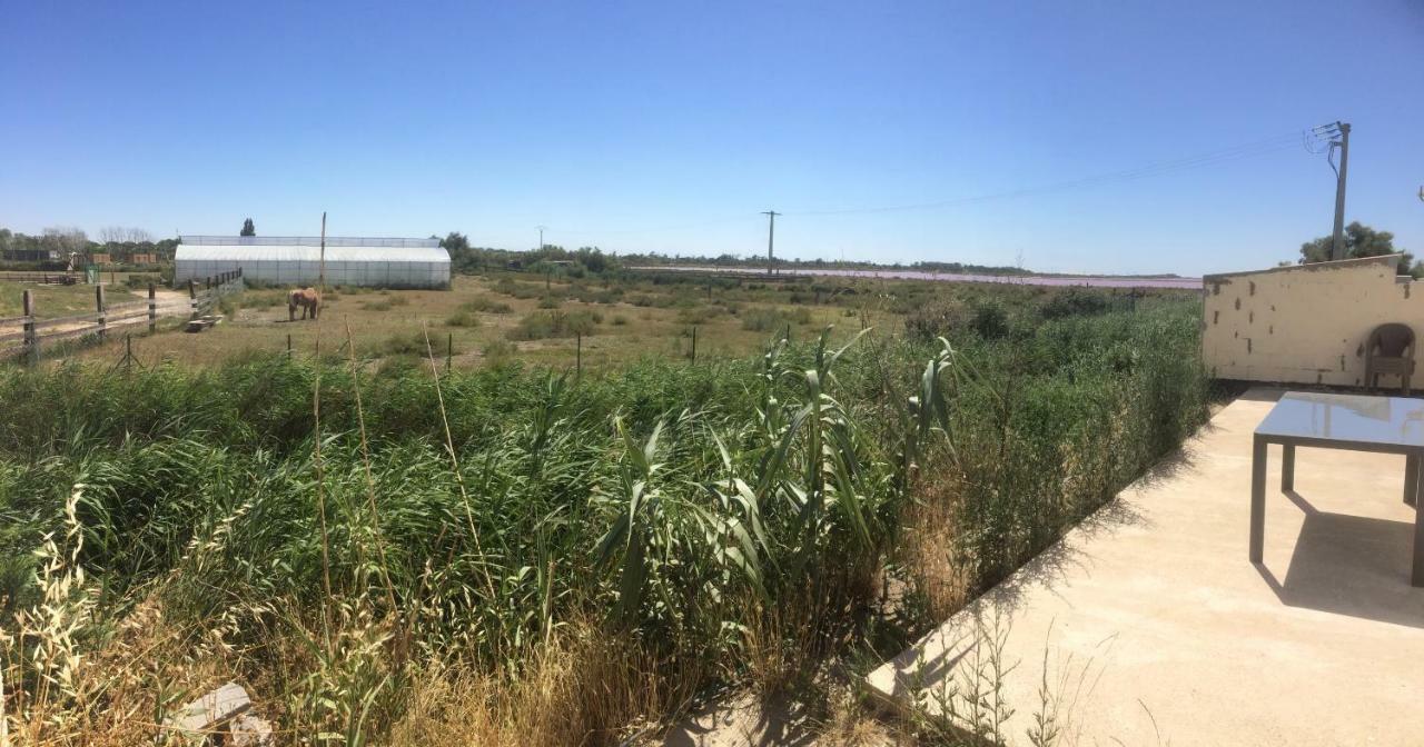 Апартаменты En Camargue Сален-де-Жиро Экстерьер фото