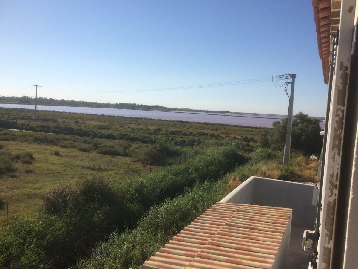 Апартаменты En Camargue Сален-де-Жиро Экстерьер фото