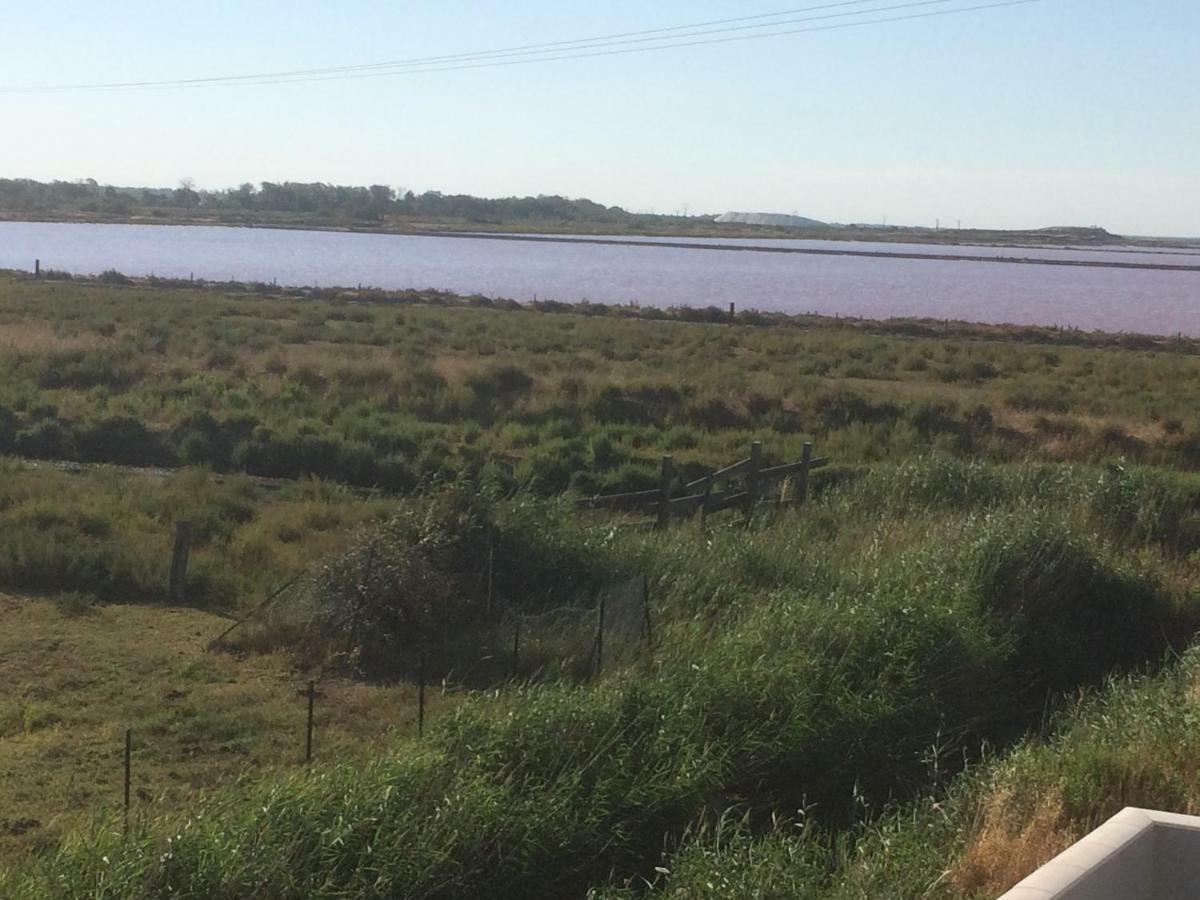 Апартаменты En Camargue Сален-де-Жиро Экстерьер фото