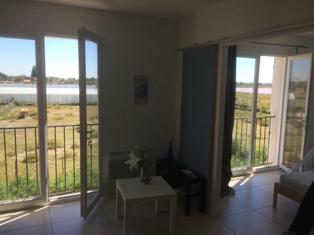Апартаменты En Camargue Сален-де-Жиро Экстерьер фото