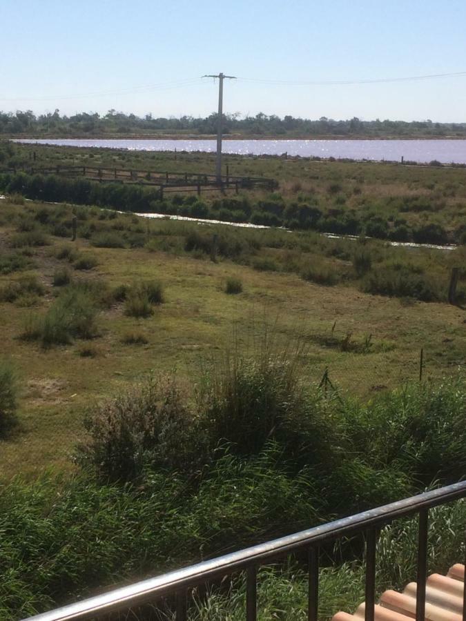 Апартаменты En Camargue Сален-де-Жиро Экстерьер фото