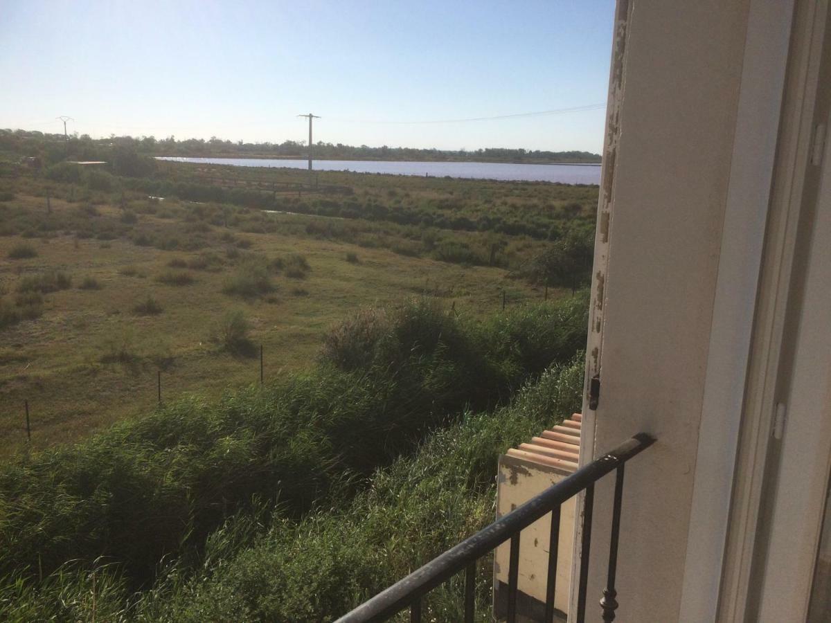 Апартаменты En Camargue Сален-де-Жиро Экстерьер фото
